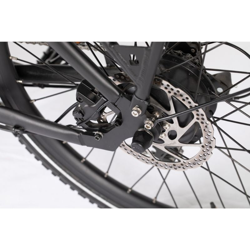 Airtour Starter Cargo Ebike disc brake