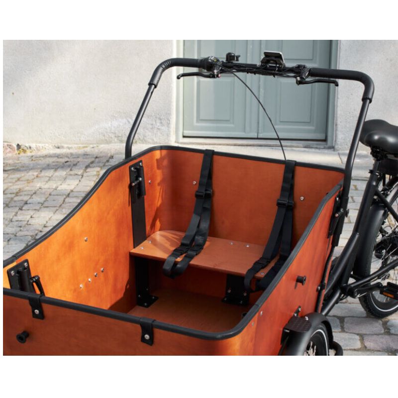 Amcargo Ultimate Harmony -seat belts view