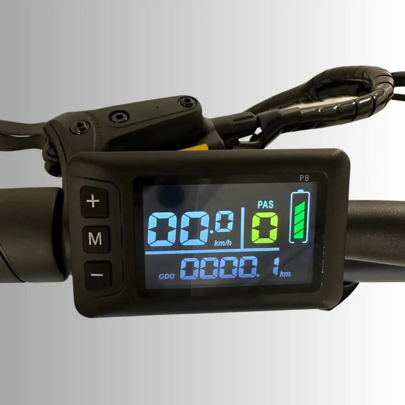 Emovement Panther folding ebike display