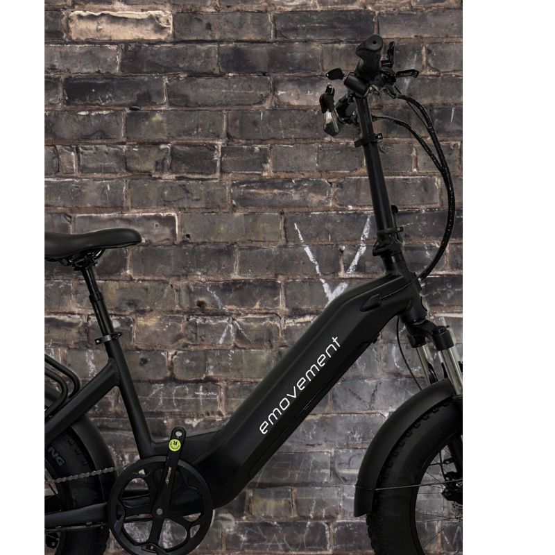 Emovement Raven Step through black ebike