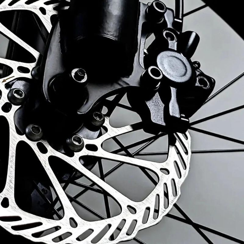 Emovement Thunder v4.2 eMTB disc brake
