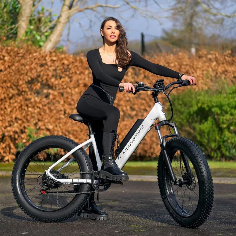 Why is the World Going Ebike?