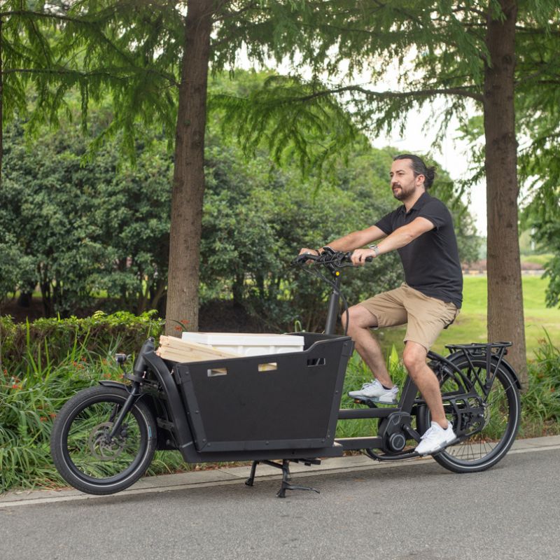 Airtour Basalt Cargo Ebike with rider