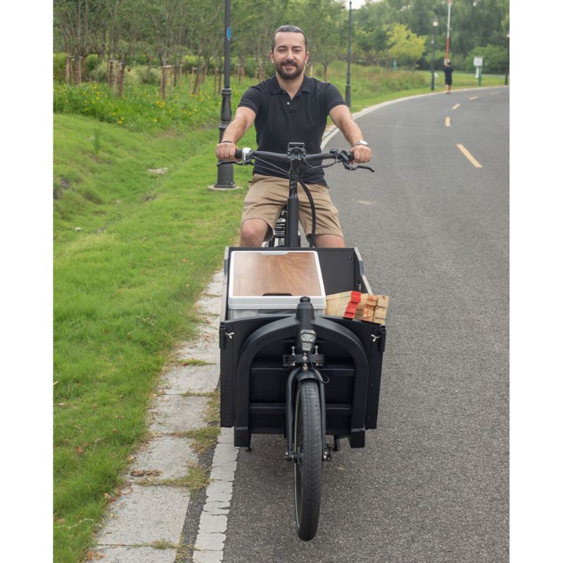 Airtour Basalt Cargo Ebike rider and load