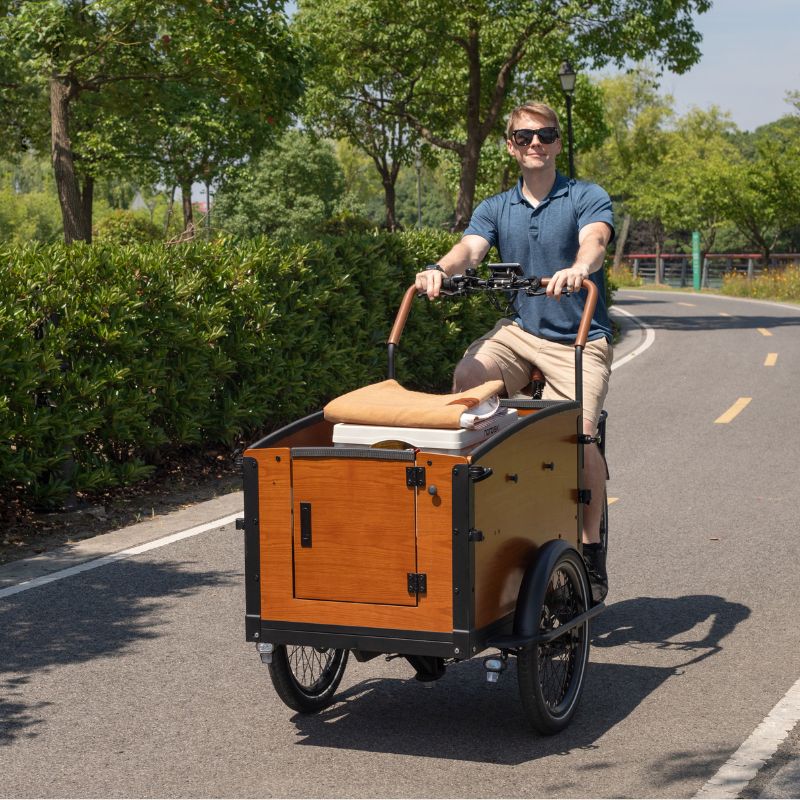 Airtour Family S Cargo Ebike rider and load