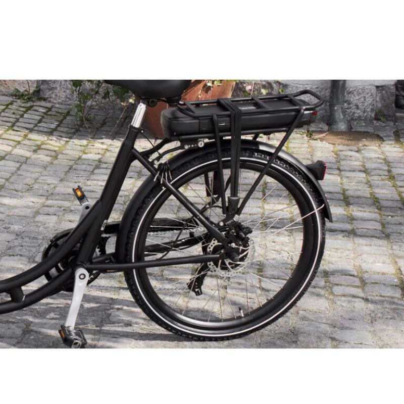 Amcargo Ultimate Curve cargo ebike back wheel