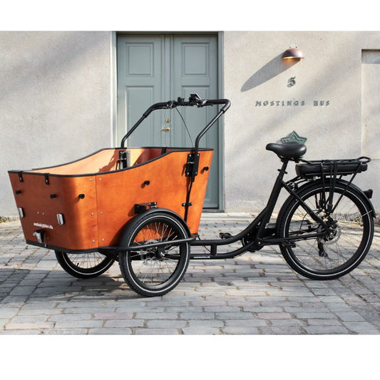 Amcargo Electric Cargo Bike – Ultimate Harmony