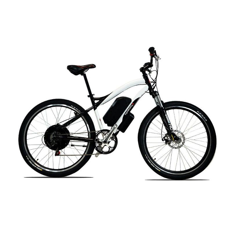 Cyclotricity Stealth Ebike 1000W 29er