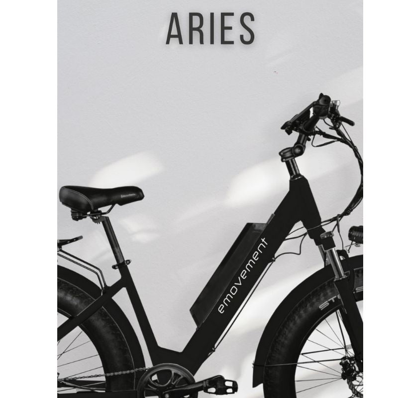 Emovement Aries MTB ebike in black