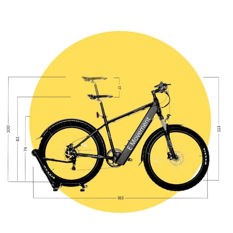 Emovement Thor Ebike 250W or 350W - New Ebike Hub