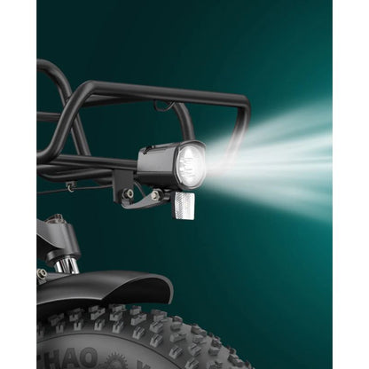 Engwe L20 Boost - 250W Front Suspension Step-Thru E-bike