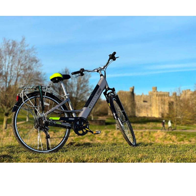 Dallingridge Harlow Ebike silver castle view