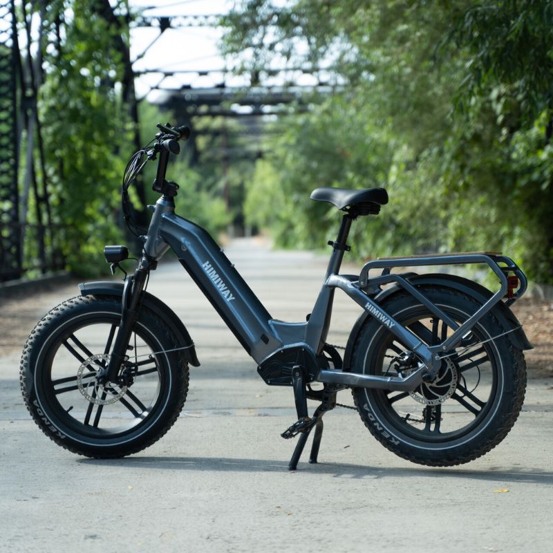 Himiway Bike Dog Cargo Ebike bridge back drop