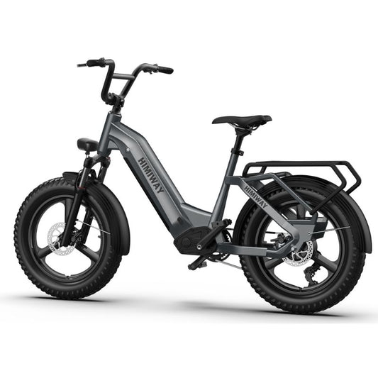 Himiway Bike Dog Cargo Ebike metallic grey side view