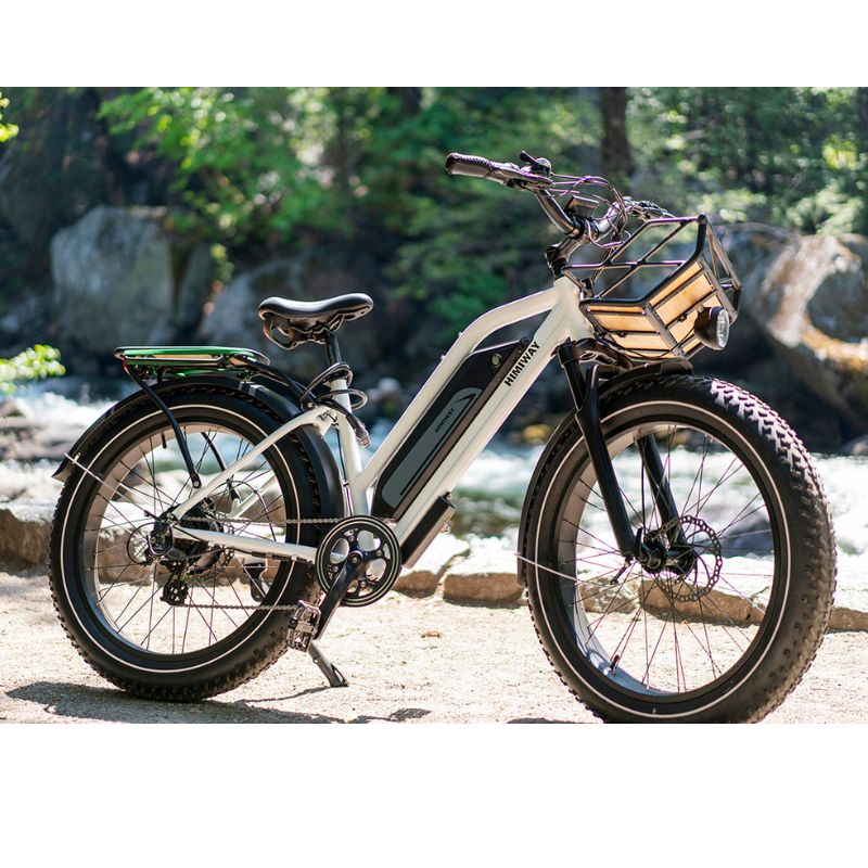 Himiway D3 Cruiser Ebike Step thru outdoor view