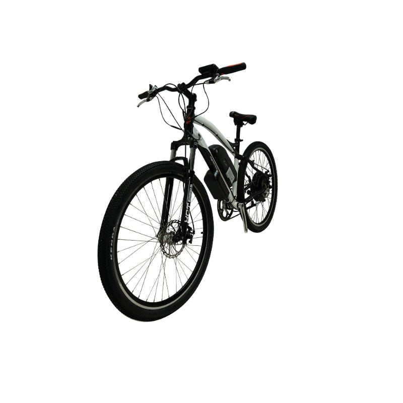 Cyclotricity Stealth Ebike 1000W 29er